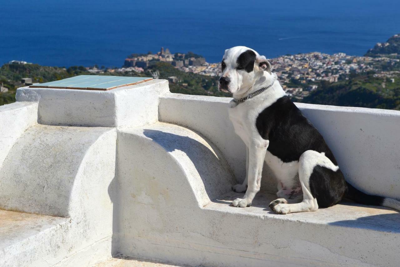 Paradiso